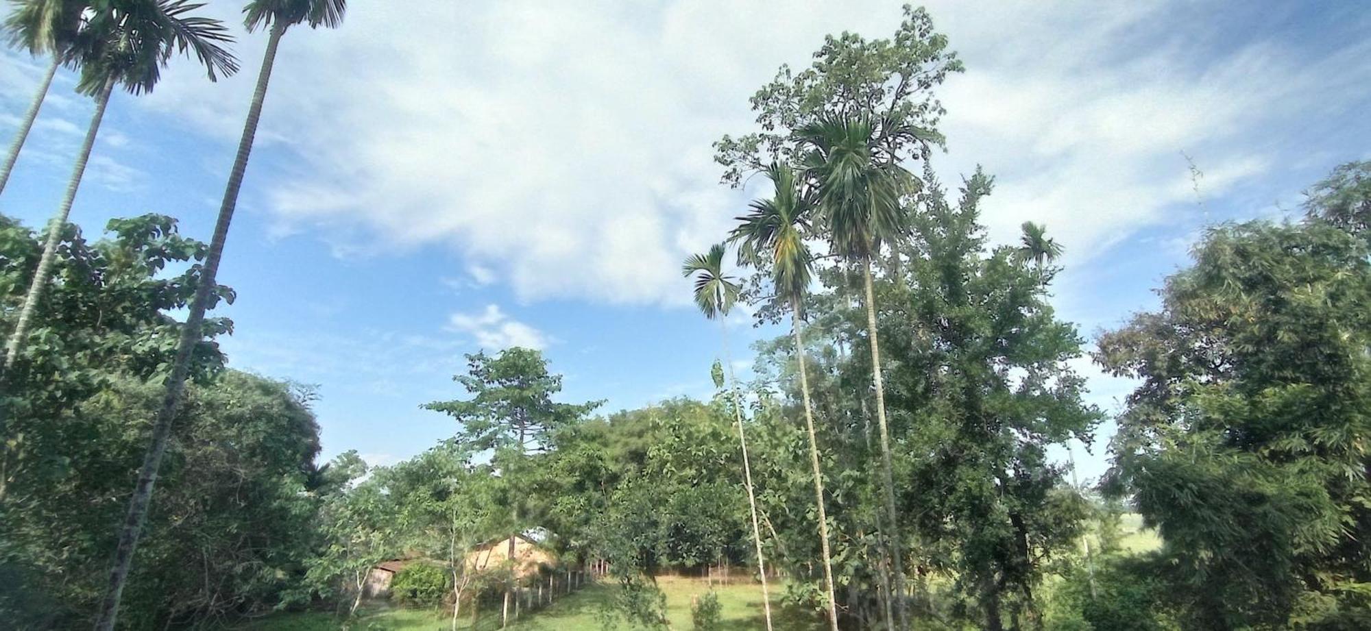 Hotel Kaziranga Holidays ภายนอก รูปภาพ